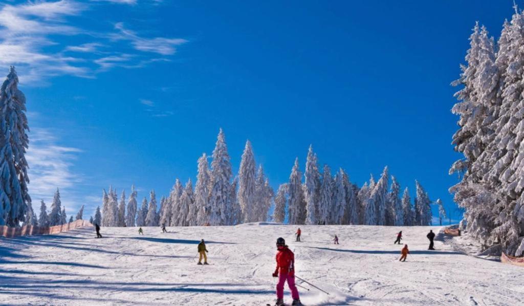 Apartman Lipenka Černá v Pošumaví Esterno foto